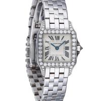 Cartier Santos Demoiselle WF9003Y8