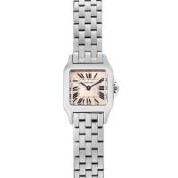 Cartier Santos Demoiselle Small W25075Z5