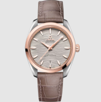 Omega Seamaster Aqua Terra 150m 220.23.38.20.06.001