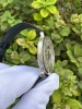 Audemars Piguet Jules Audemars