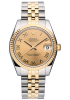 Rolex Oyster Perpetual 178273