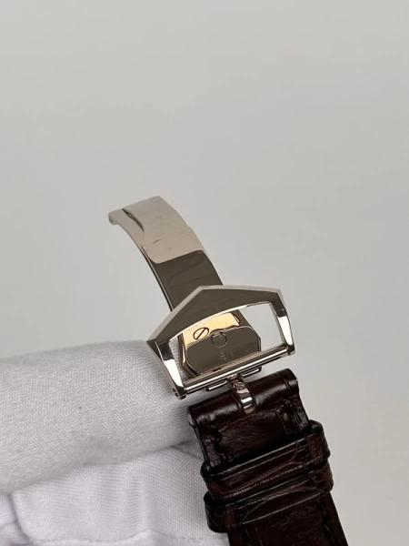 Patek Philippe Complicated Watches 5396