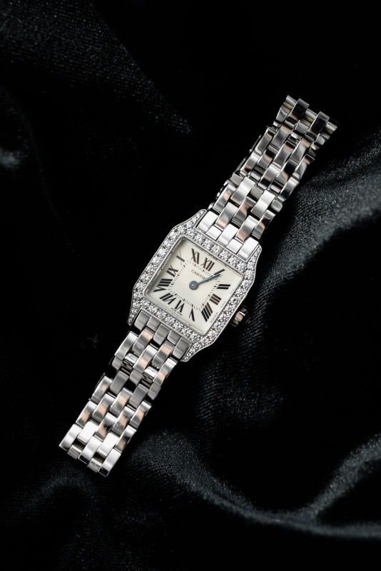Cartier Santos Demoiselle WF9003Y8