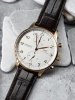 IWC Portugieser IW371480