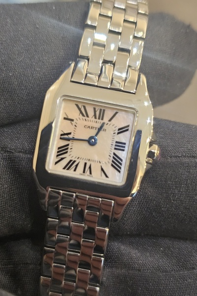 Cartier Santos Demoiselle Small W25075Z5